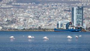 “İzmir Yenileniyor” markası tescillendi