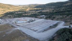 Dikili’ye modern hayvan bakımevi