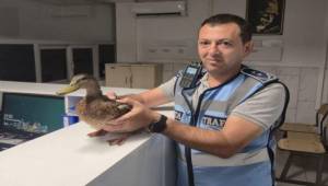 Zabıtadan yürek ısıtan kurtarma
